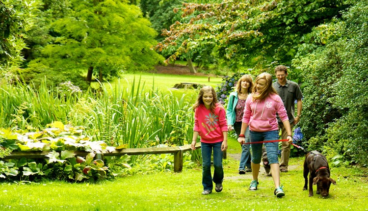 Family walking their dog in the stunning Poole area